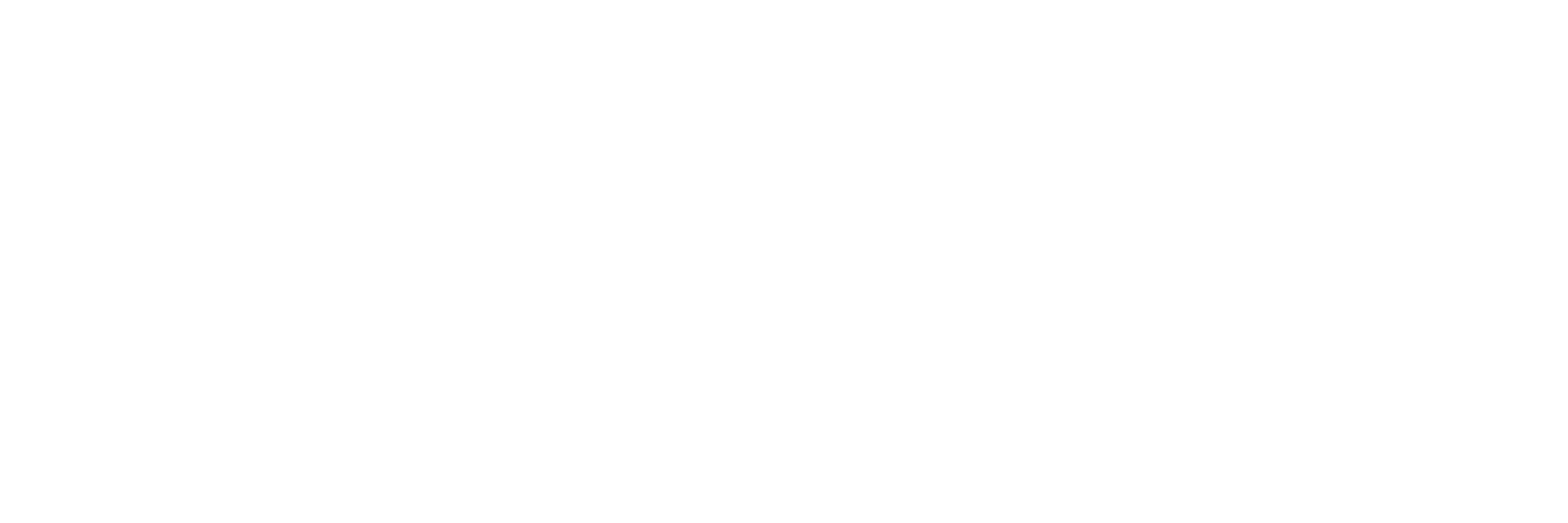 siliconstories.com